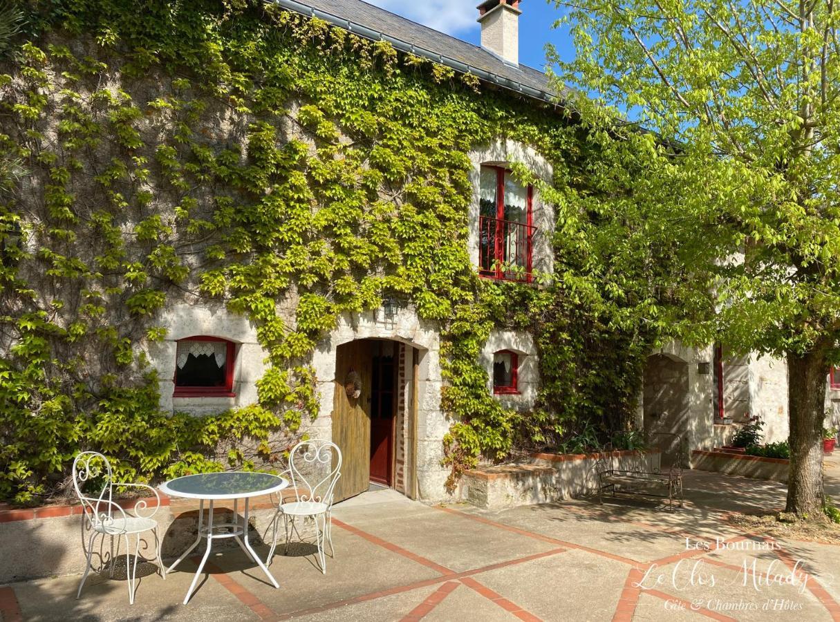 L'Ile-Bouchard Chambres D'Hotes Les Bournais - Le Clos Milady المظهر الخارجي الصورة
