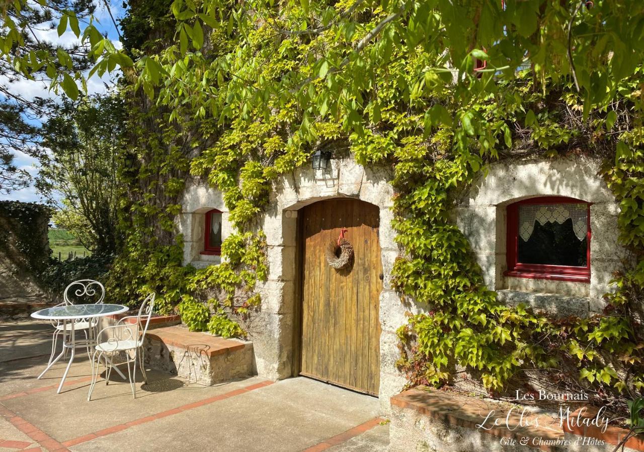 L'Ile-Bouchard Chambres D'Hotes Les Bournais - Le Clos Milady المظهر الخارجي الصورة