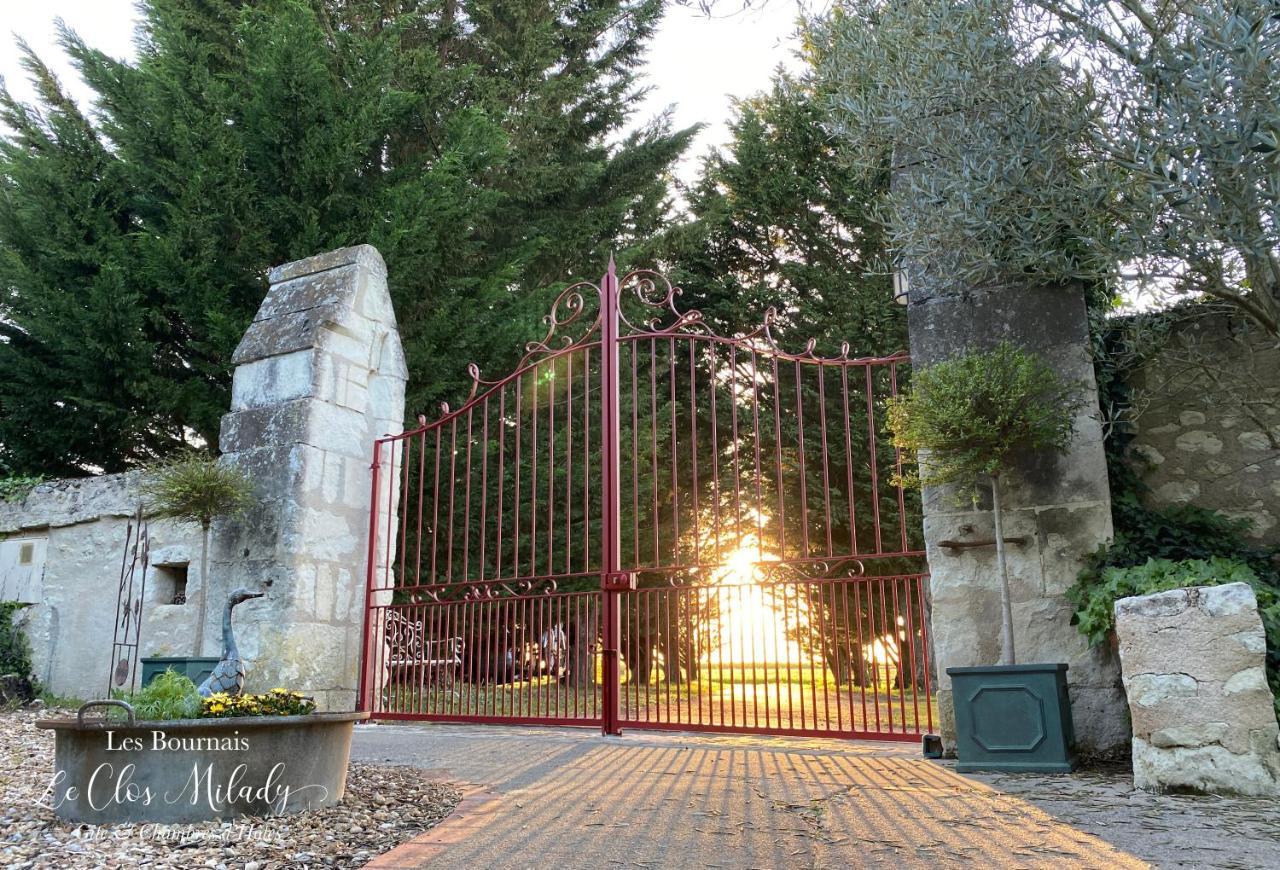 L'Ile-Bouchard Chambres D'Hotes Les Bournais - Le Clos Milady المظهر الخارجي الصورة